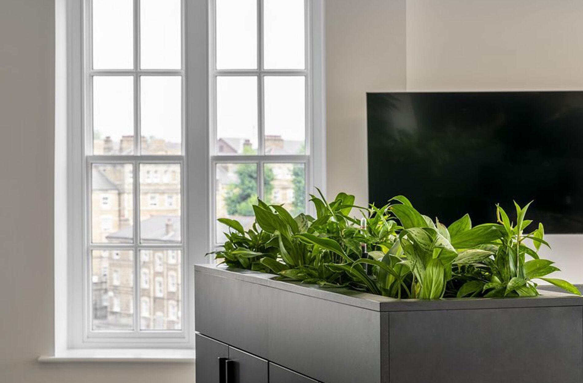 EKU- Workspace Foliage